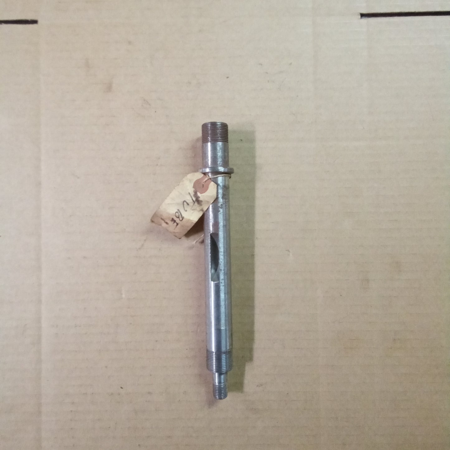 STEM (#12494180)