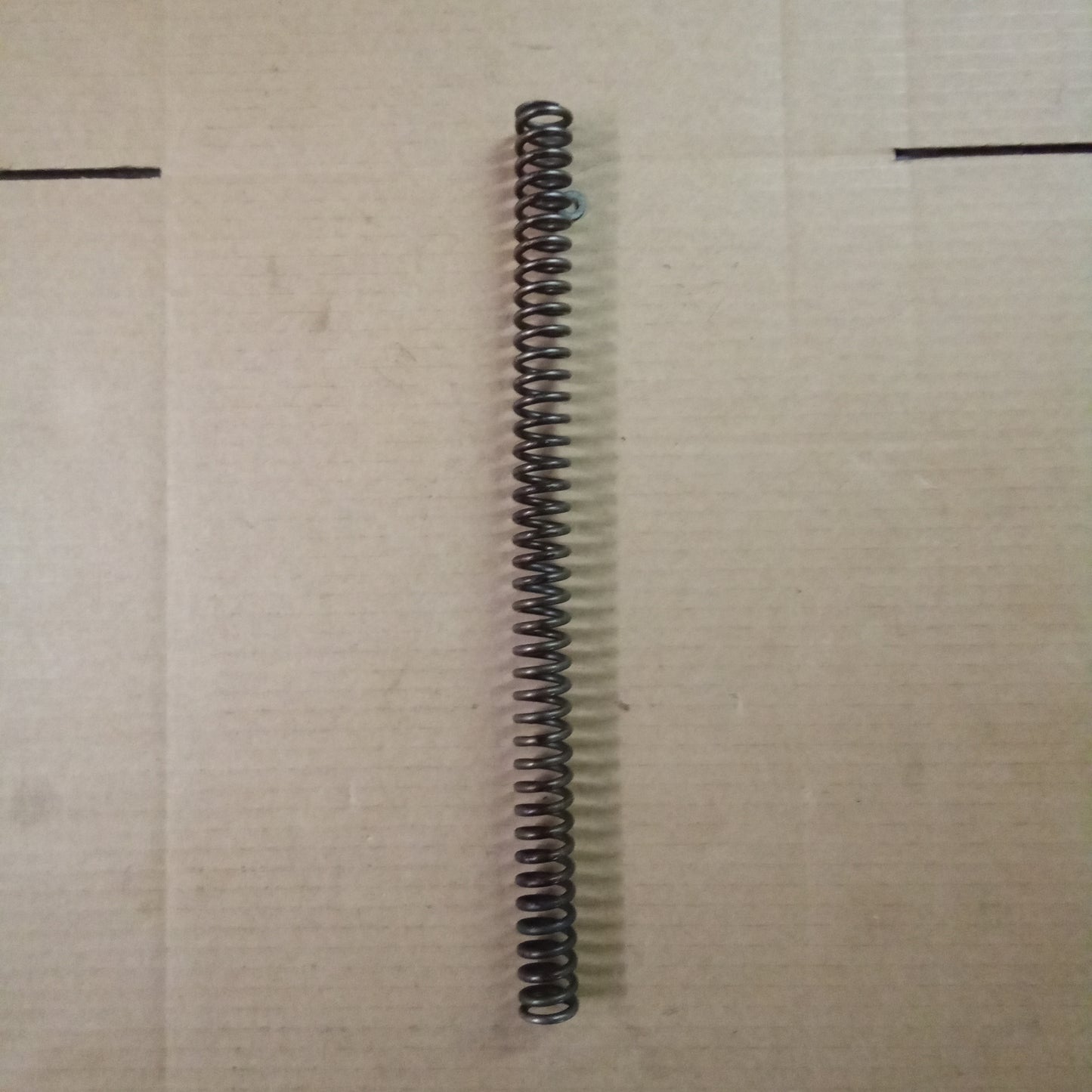 FORK SPRING (#19526600)