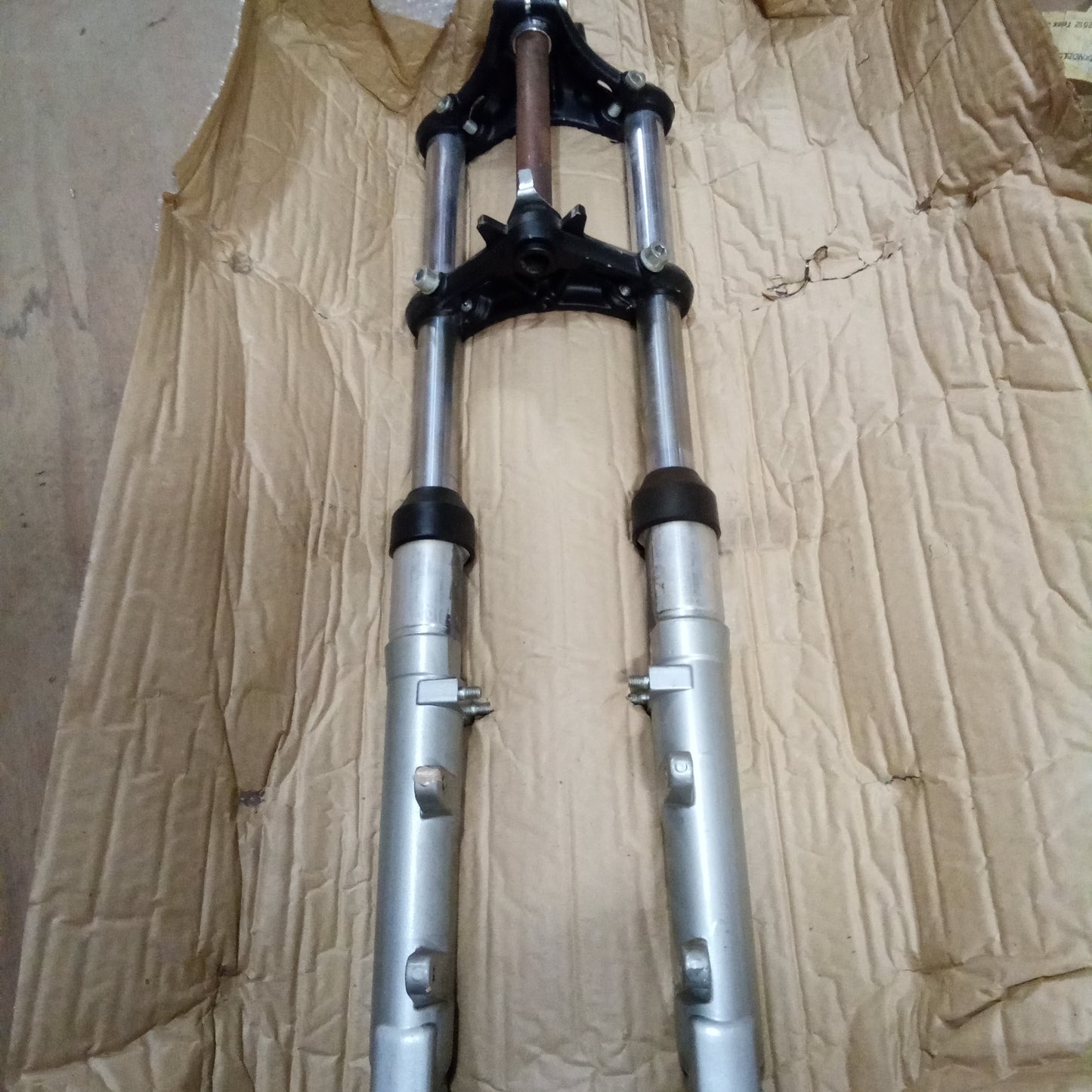 FRONT FORK C (#19490305)