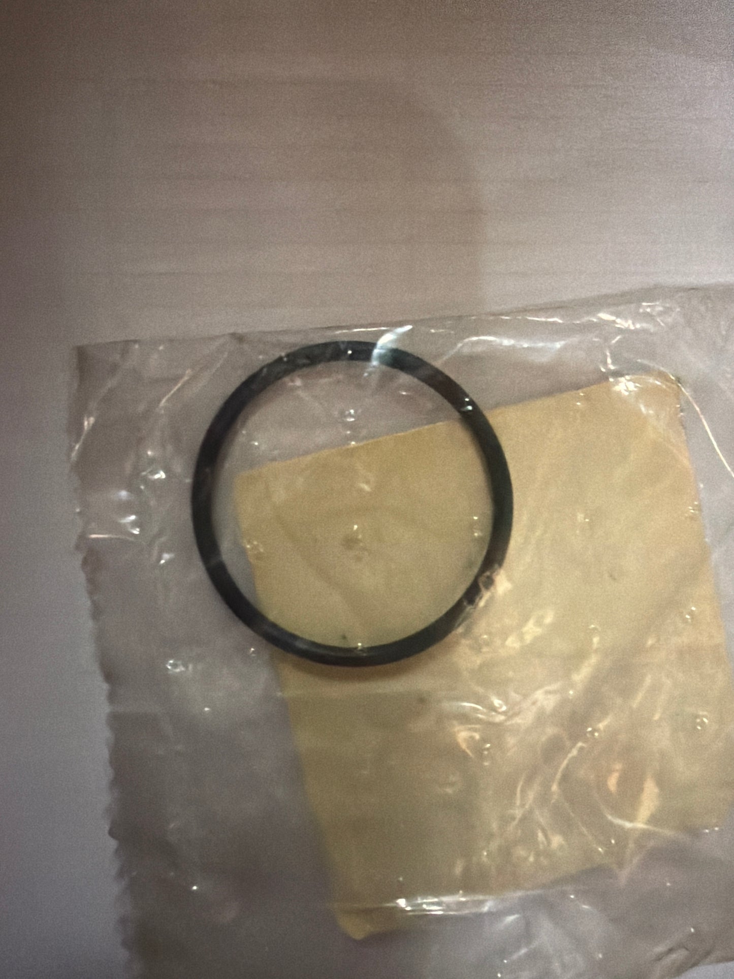 O-ring (#AP8163104)