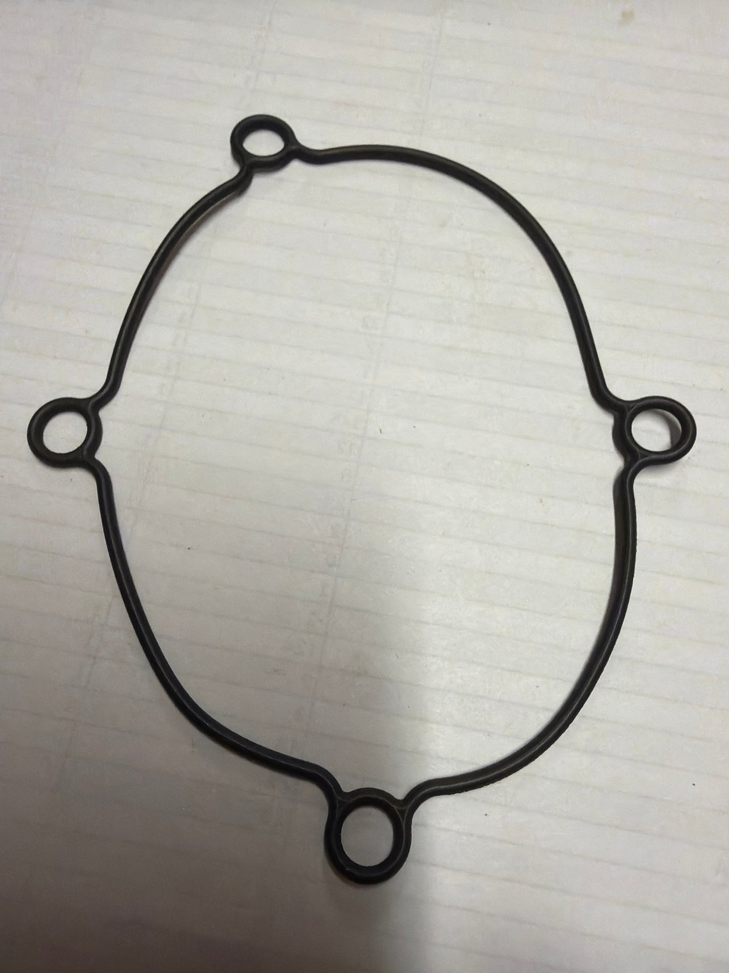 Gasket (#B063850)