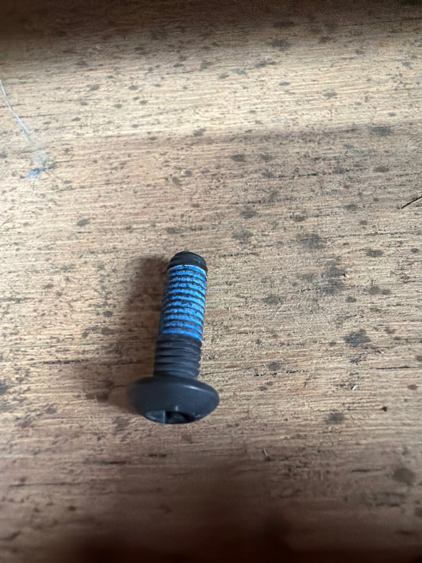 SCREW (#1C001499)