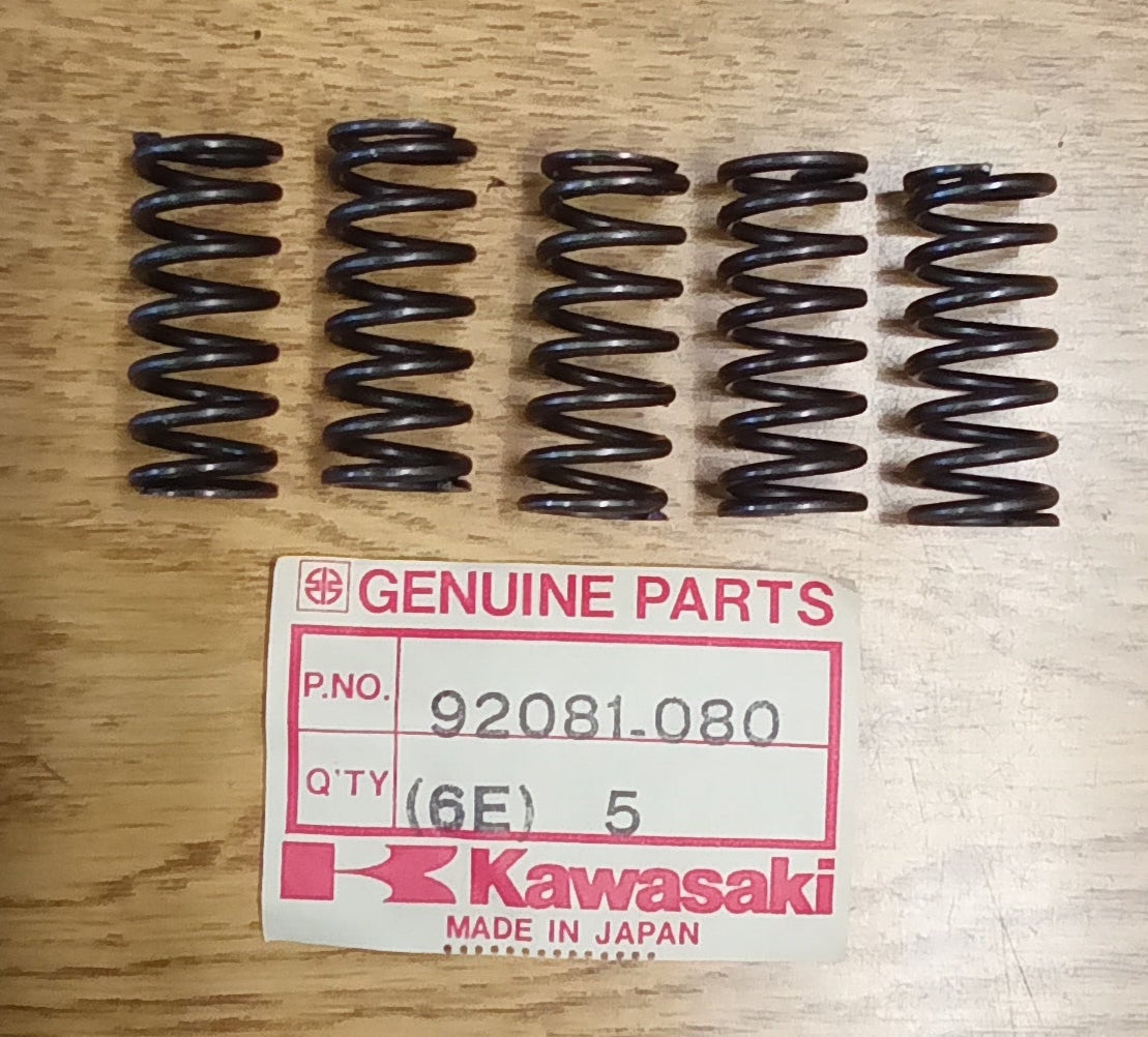 Kawasaki Clutch Springs (Package of 5)