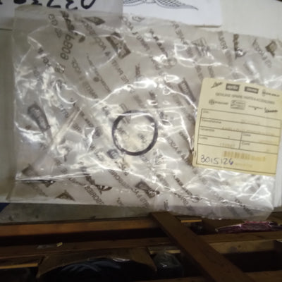 SEAL RING (O-RING) (#B015126)