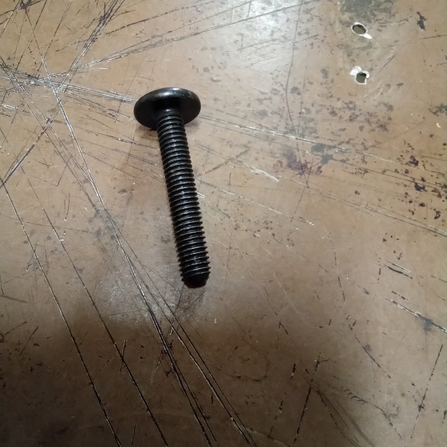 METRICAL SCREW (#CM179307)