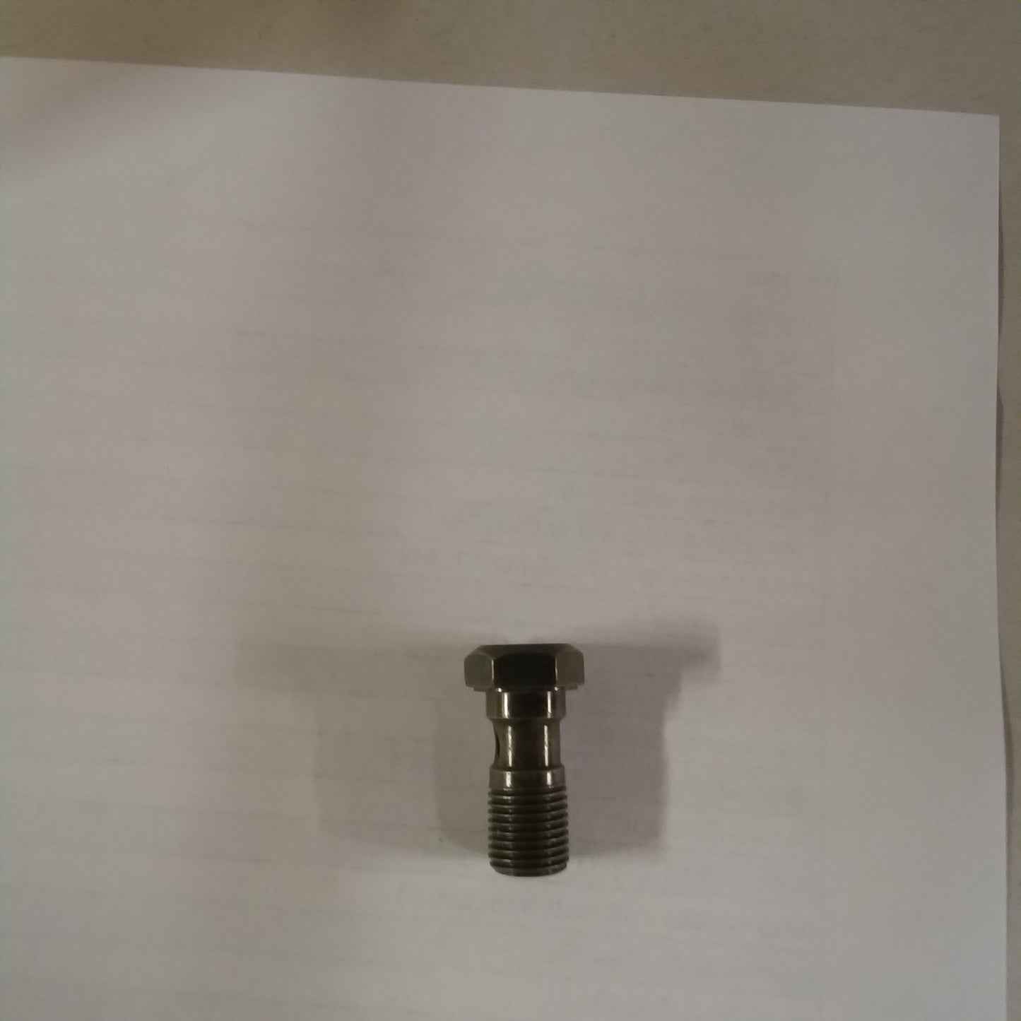 Oil Pipe Screw (#AP8113003)