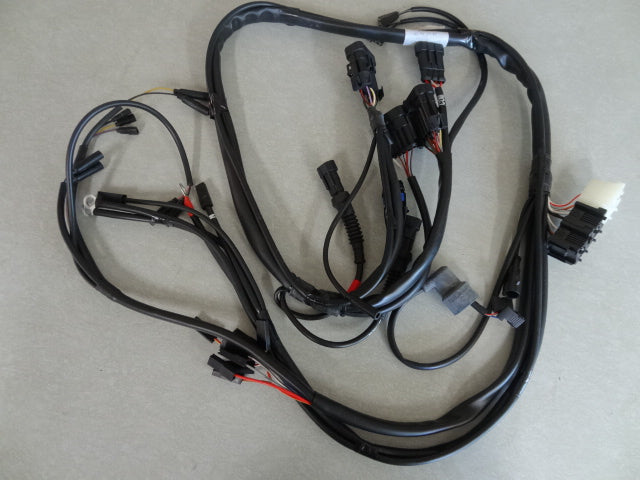 HARNESS-MAIN (#02747100)