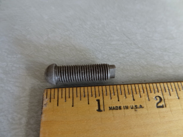 SCREW (#12034001)