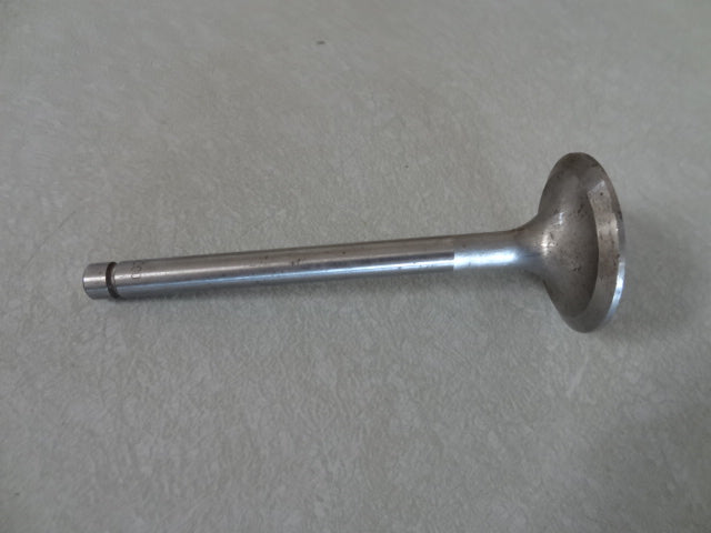 INTAKE VALVE (#12036000)