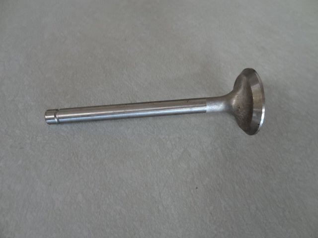 EXHAUST VALVE (#12036100)