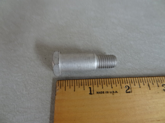 BOLT (#12432800)