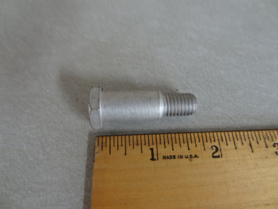 BOLT (#12432800)