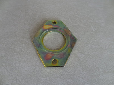 RETAINING PLATE (#12700123)