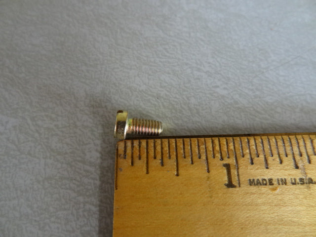 SCREW (#12715423)