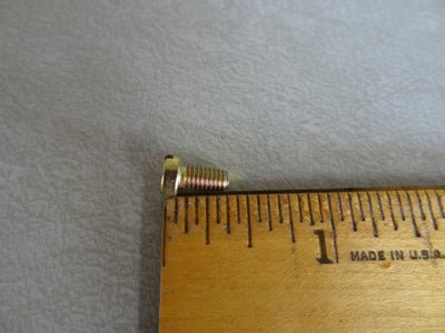 SCREW (#12715423)