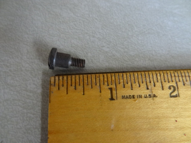 SCREW (#12715425)