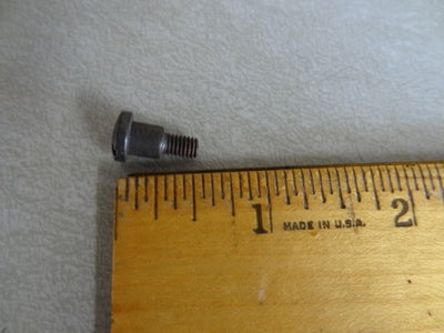 SCREW (#12715425)