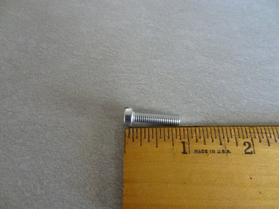 SCREW (#12730538)