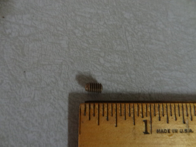 SCREW (#12743719)