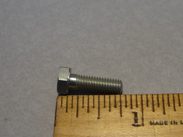 SCREW (#14934950)