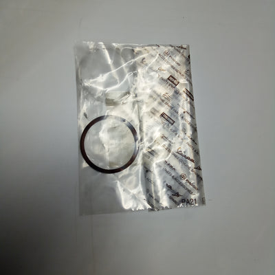 Exhaust pipe gasket (#02121250)