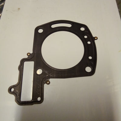 Gasket (#874621)