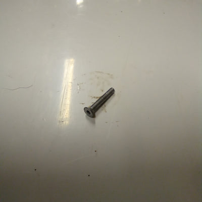 Screw, 3mmx20mm (#98257320)