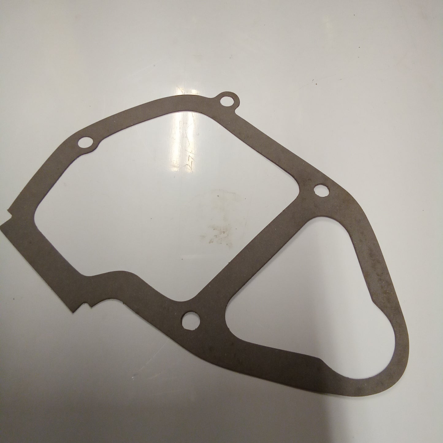 Gasket (#21855000)