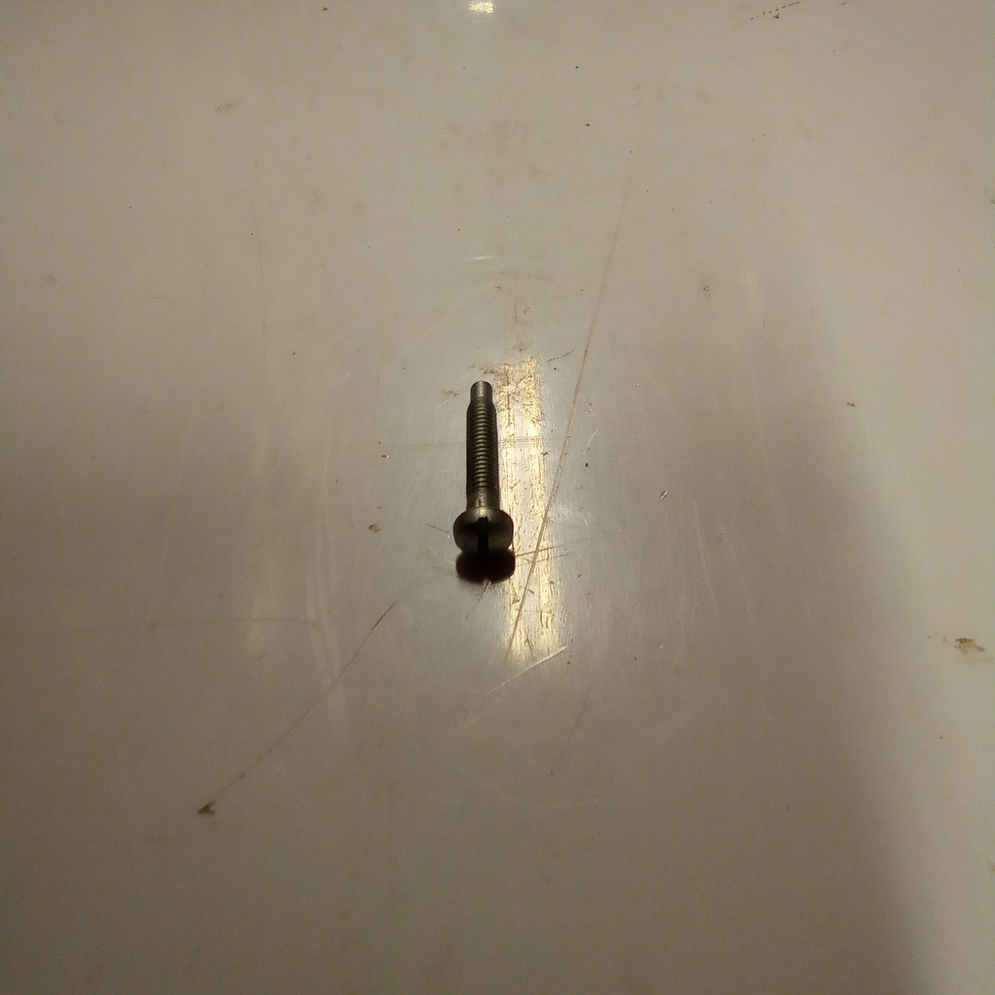 SCREW (#17740302)