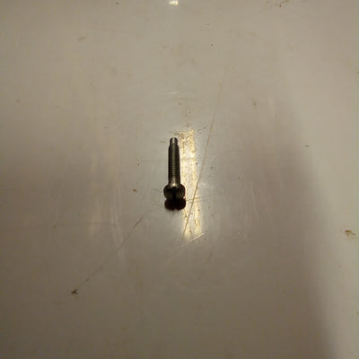 SCREW (#17740302)