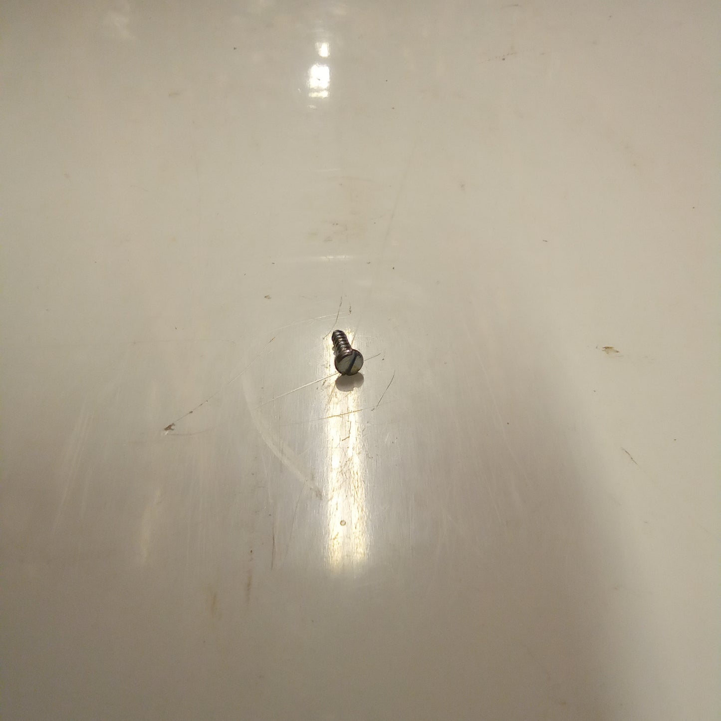 SCREW (#17740308)