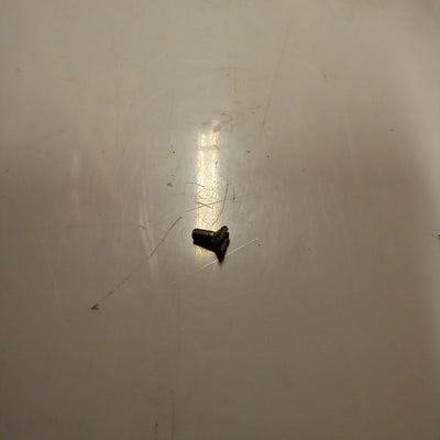 SCREW (#17740329)