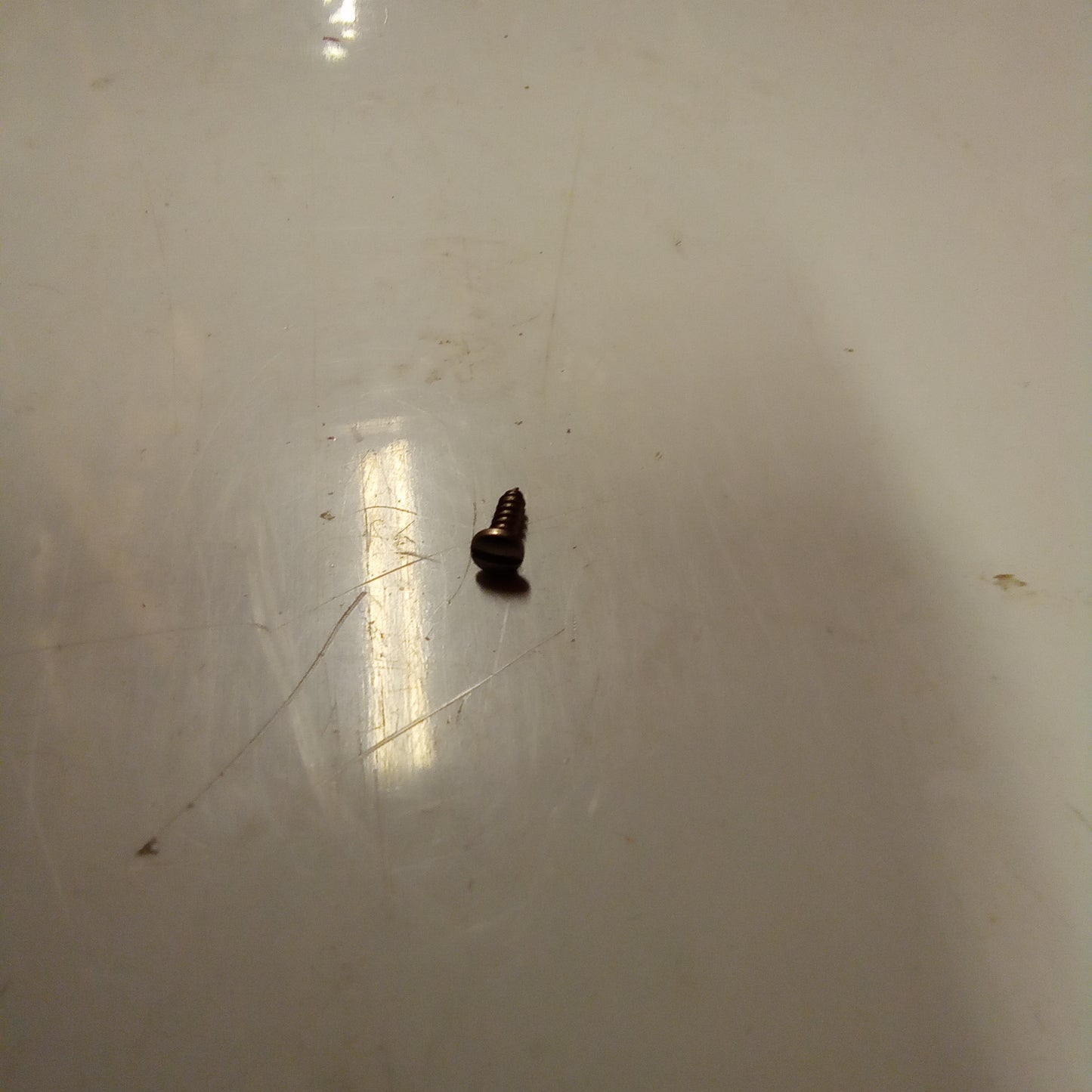 SCREW (#17740366)