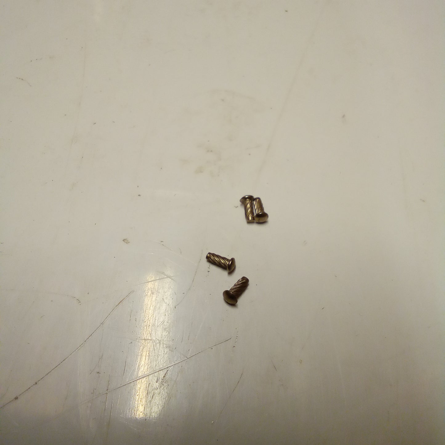 RIVET (#17607700)