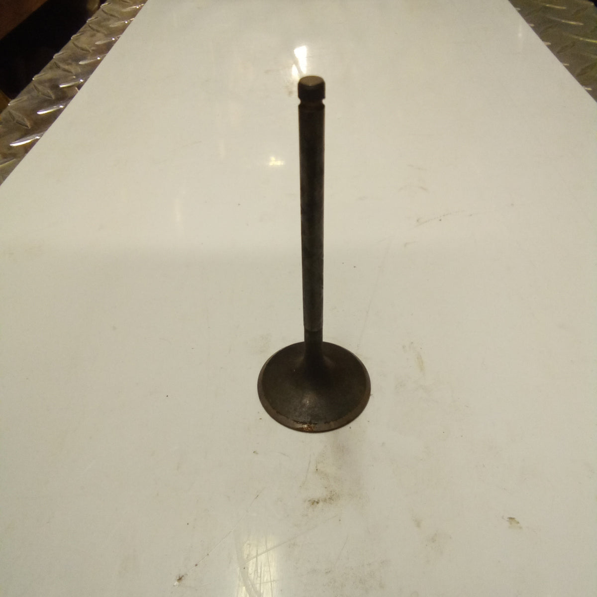 INTAKE VALVE (#19036080)