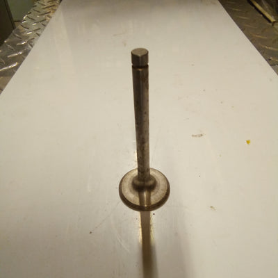 EXHAUST VALVE (#14036150)