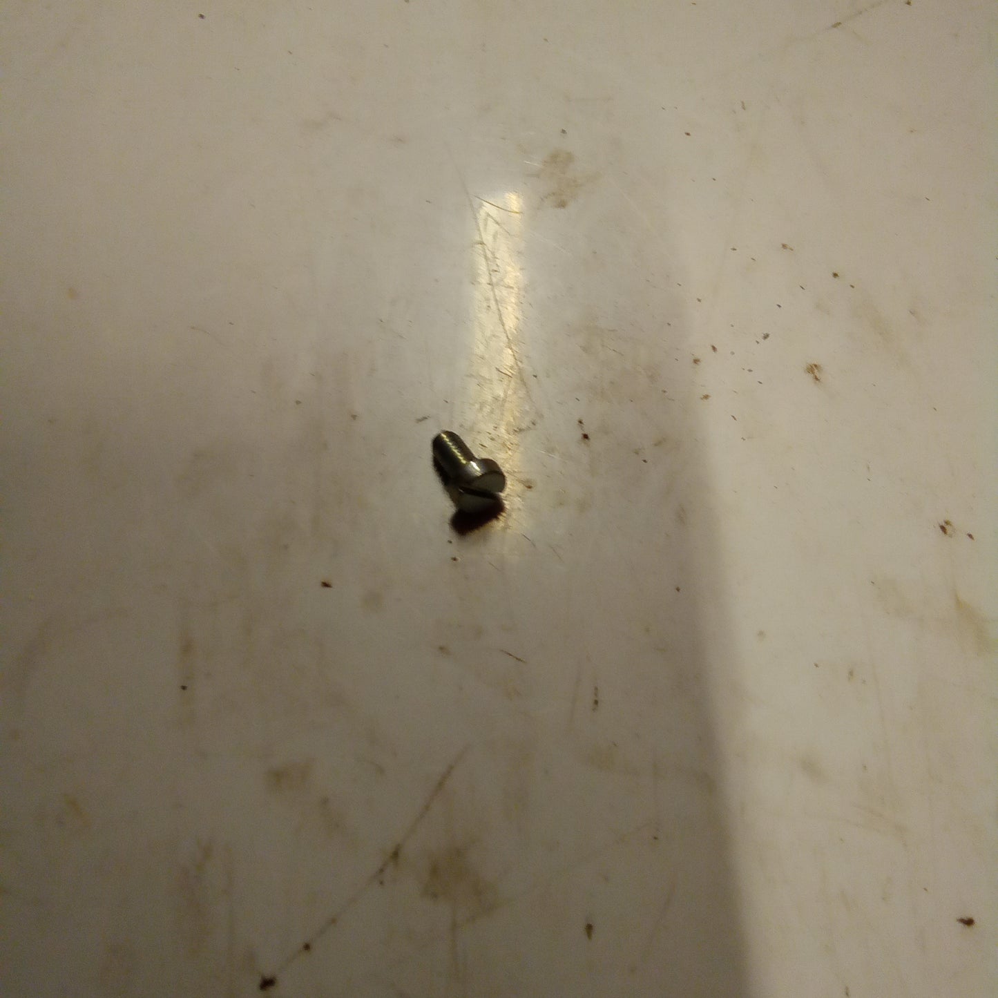 SCREW (#14730557)