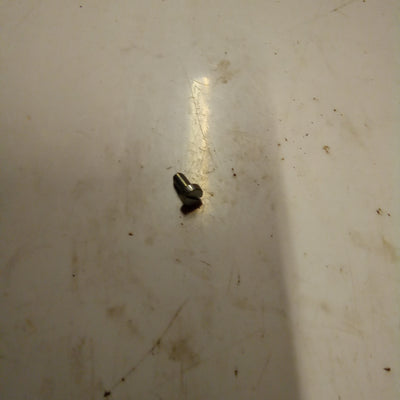 SCREW (#14730557)