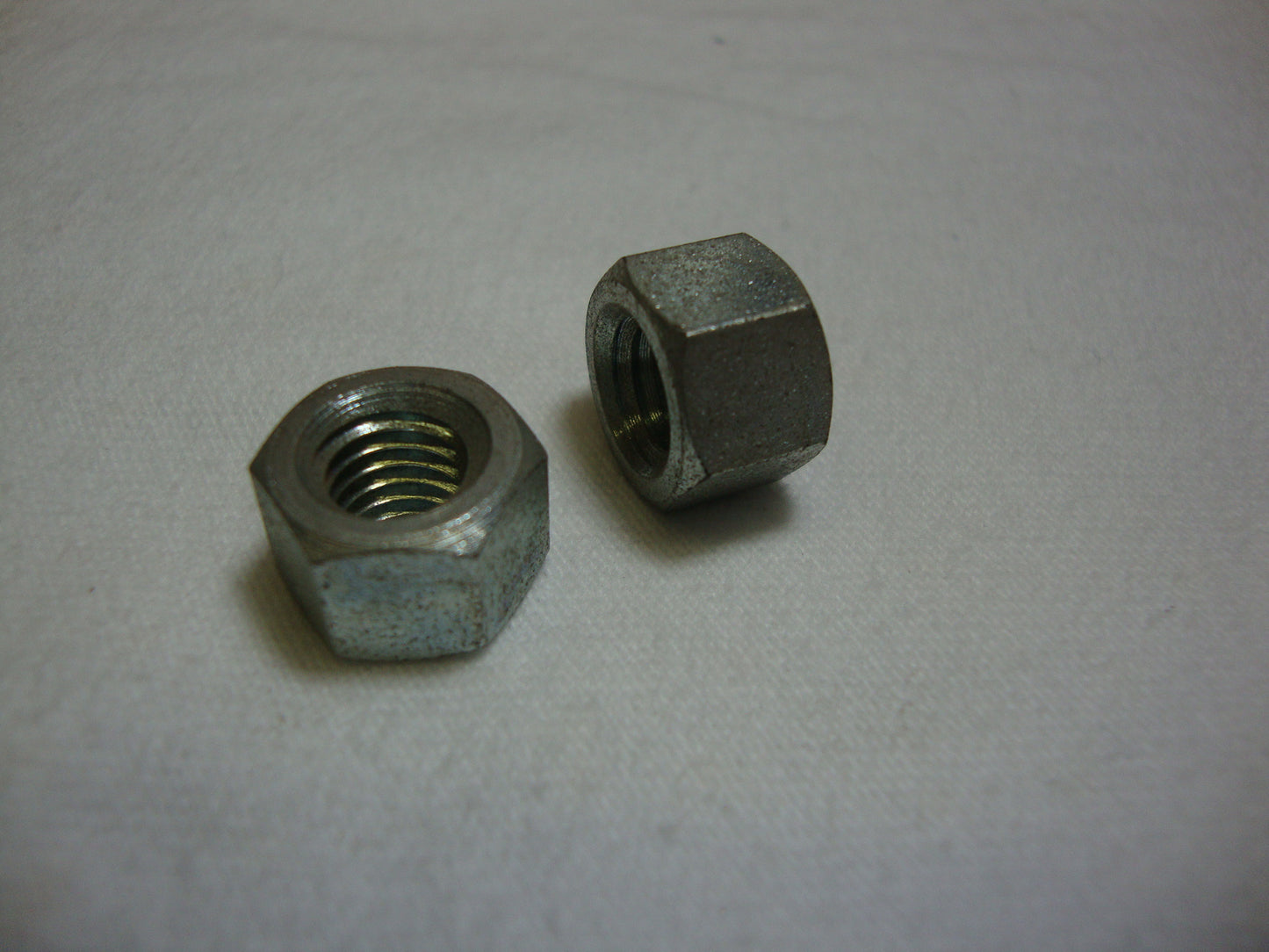 NUT (#19021920)