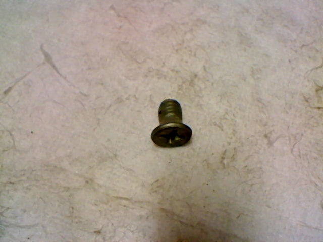 SCREW (#25730758)