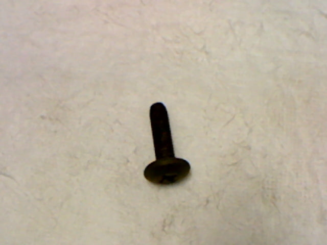 SCREW ( (#259830)