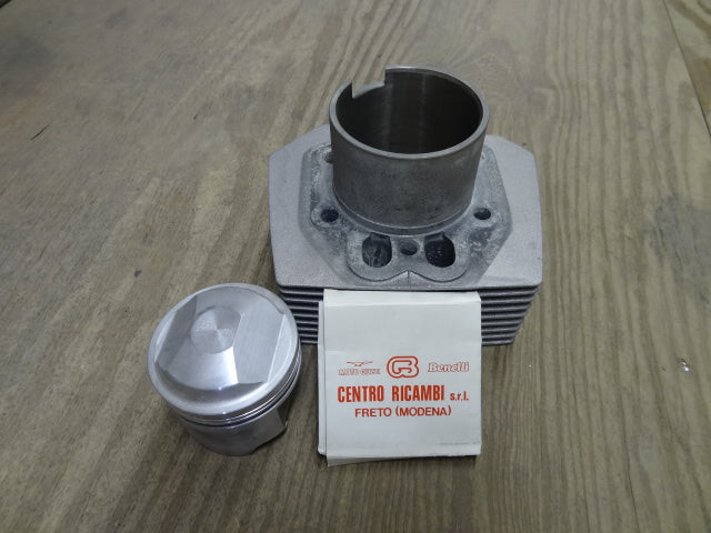 CYL/PISTON LH (#28060163)
