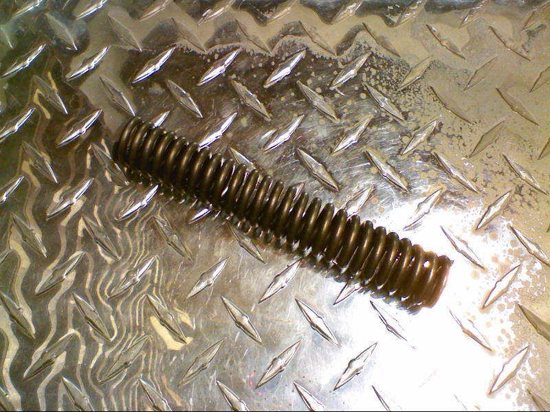 LOWER SPRINGS (#29526650)