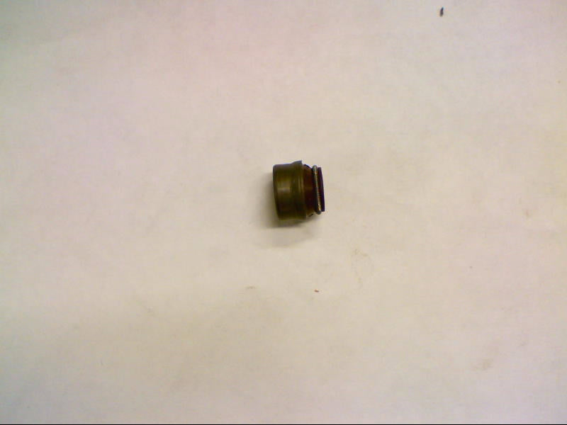 VALVE SEAL (#30037800)