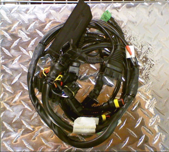 MAIN WIRING HAR C (#30725870)
