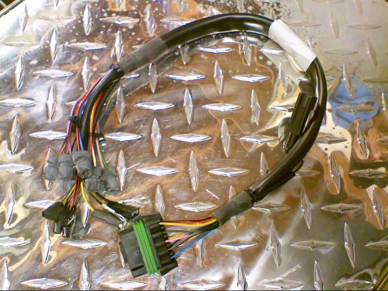 HARNESS-DASH (#30747225)
