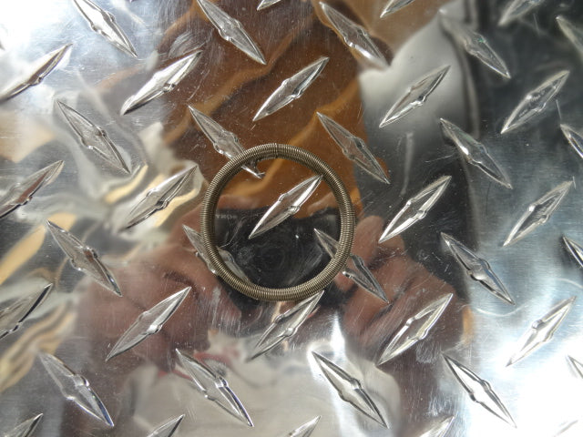 RETAINER SPRING (BIG) (#31110815)