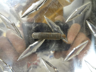 SCREW (#32034000)