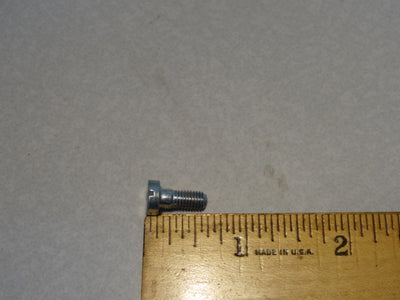 SCREW (#43934900)