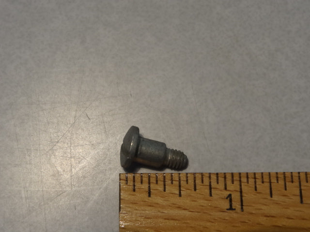 SCREW (#43938200)